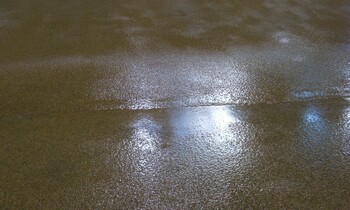 galleryImage