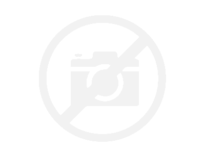 actionImage