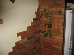 galleryImage