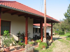 galleryImage