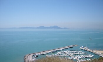 galleryImage