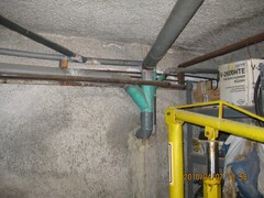 homeImage