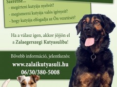 homeImage